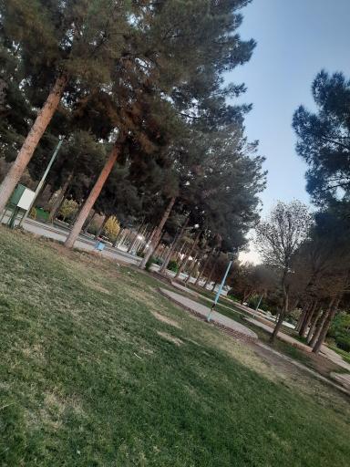 عکس پارک بزرگ شادی