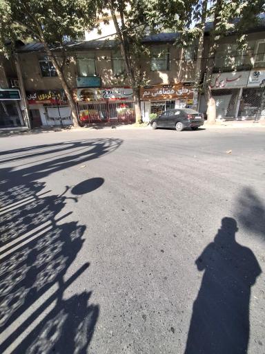 عکس خرما سرای سلامت