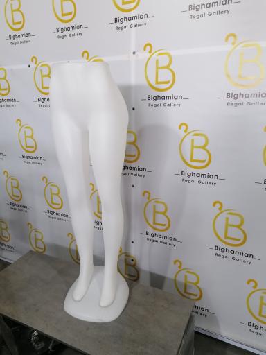 عکس رگال و مانکن بیغمیان 