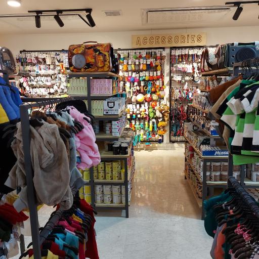 عکس شوکا پت شاپ زعفرانیه