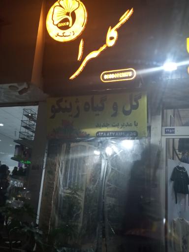 عکس گلسرای ژینگو