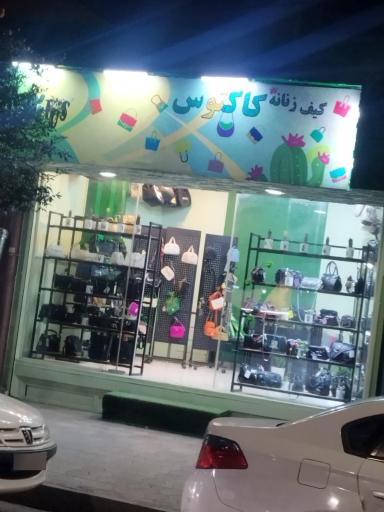 عکس کیف کاکتوس