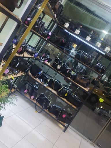 عکس کیف کاکتوس