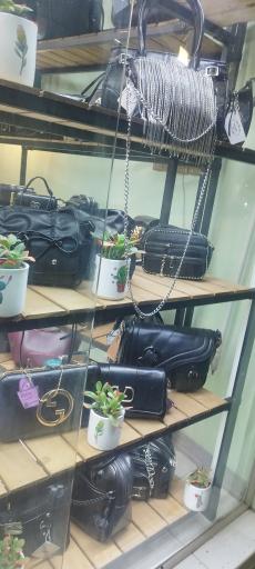 عکس کیف کاکتوس