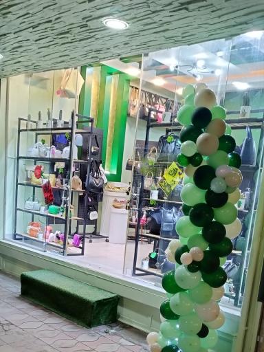 عکس کیف کاکتوس