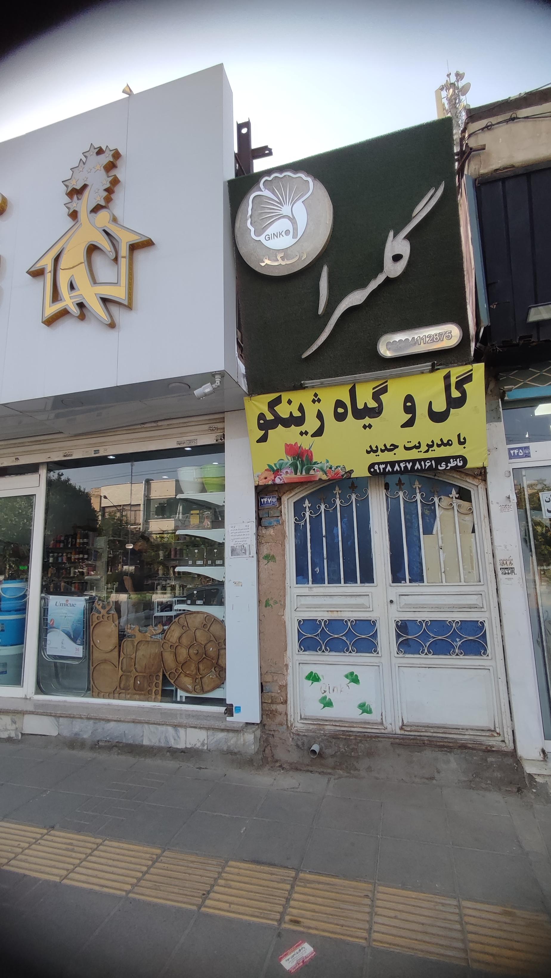 عکس گلسرای ژینگو