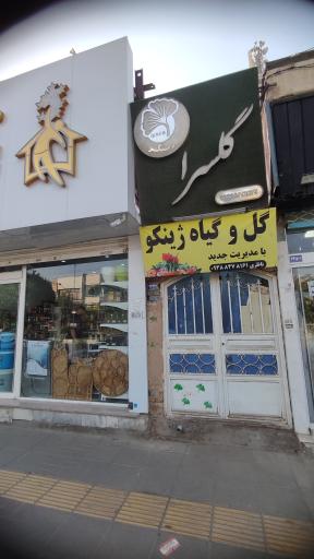 عکس گلسرای ژینگو