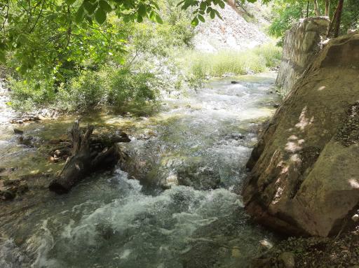 عکس آبشار شکر آب