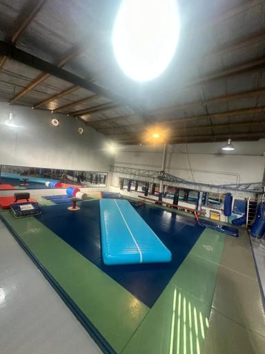 عکس آموزش ژیمناستیک مهدی کریمی