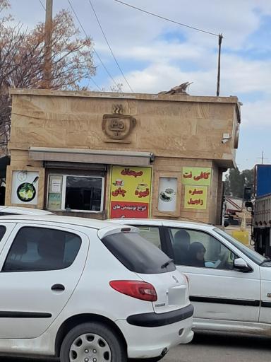 عکس کافی نت 