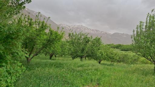 عکس بروجرد