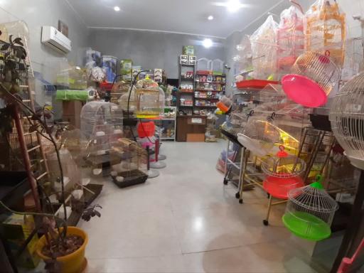 عکس قصر قفس