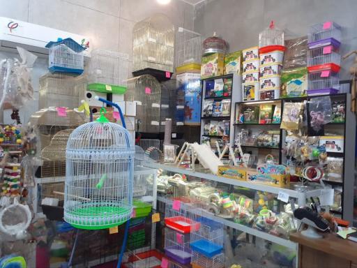 عکس قصر قفس