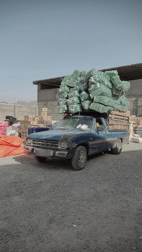 عکس مدیران بار