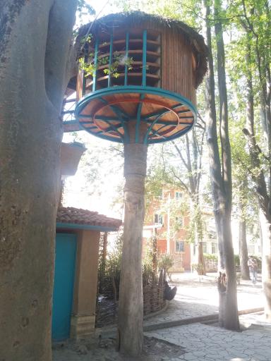 عکس بوستان سالار مشکات