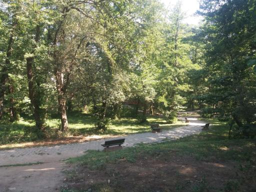 عکس بوستان سالار مشکات