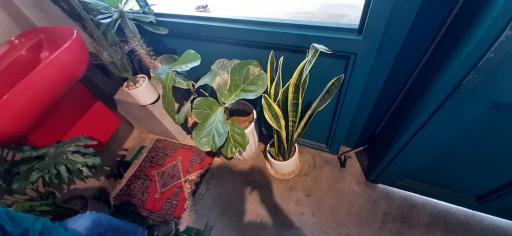 عکس کافه‌نان فروشی