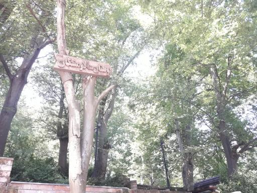 عکس بوستان سالار مشکات