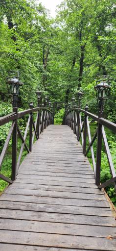 عکس بوستان سالار مشکات