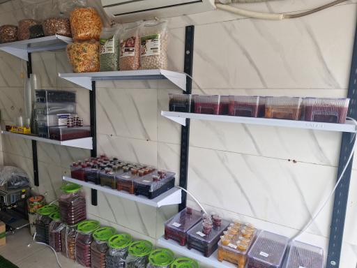 عکس مستر مزه