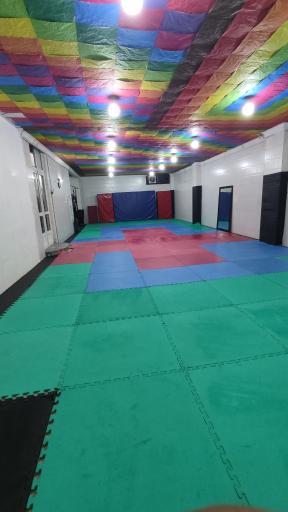 عکس باشگاه رزمی رویش