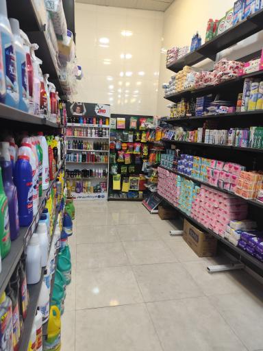 عکس شوینده بهداشتی نیکو
