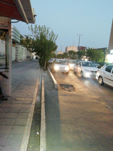 عکس پارک سارا