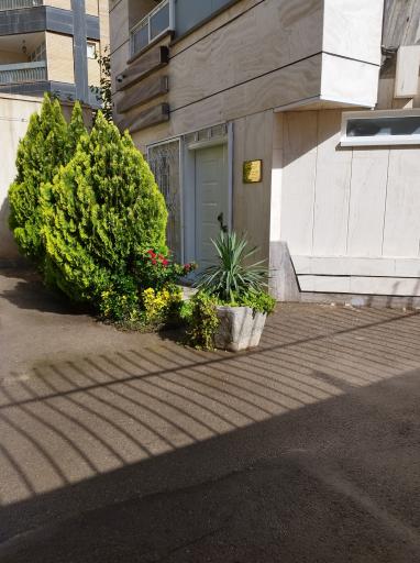 عکس آموزشگاه هنر های تجسمی اصلانی