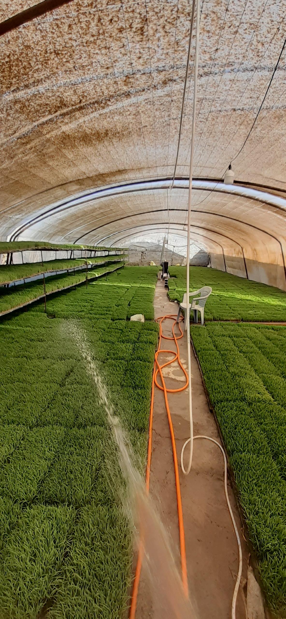 عکس بانک نشا برکت رمضانی