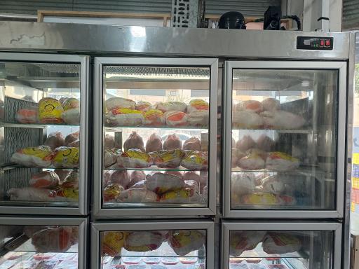 عکس مرغ و ماهی عرفان 