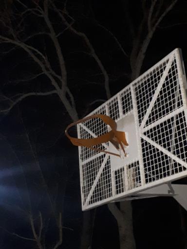 عکس زمین بسکتبال پارک لاله