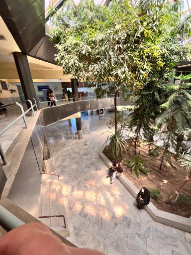 عکس دانشکده فنی و مهندسی 