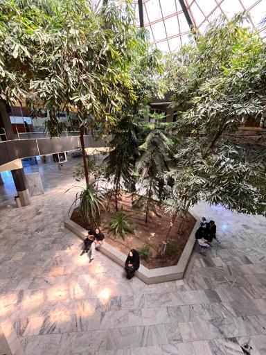 عکس دانشکده فنی و مهندسی 