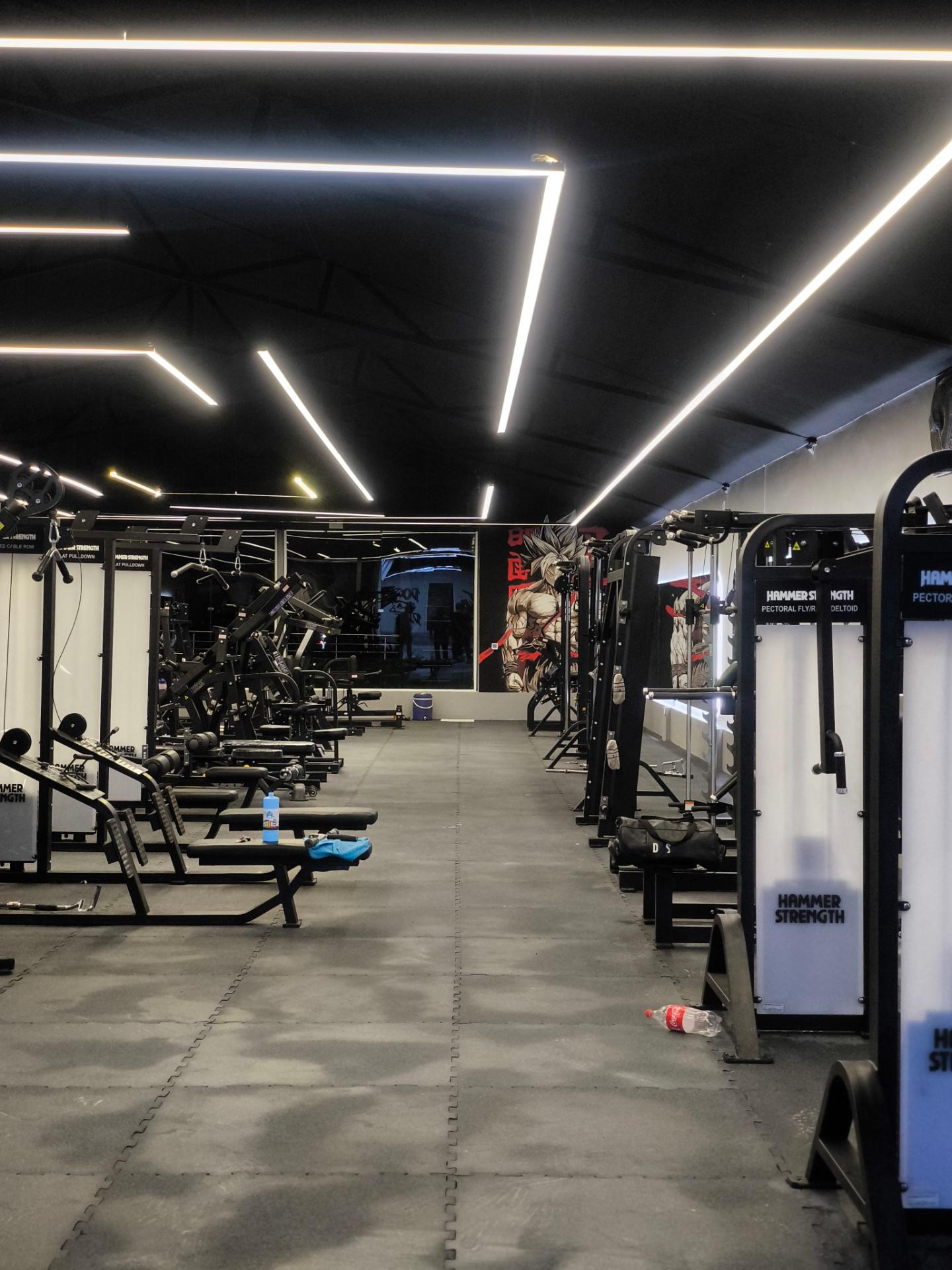 عکس باشگاه ماسل لند