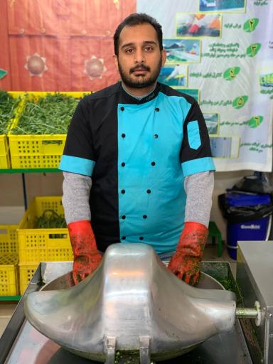 عکس سبزیجات ماه بانو 