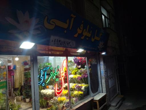 عکس گلفروشی نیلوفرآبی