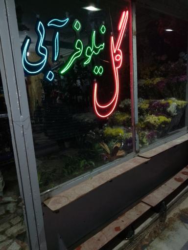 عکس گلفروشی نیلوفرآبی