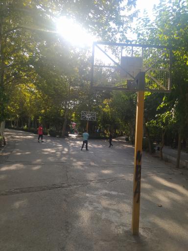 عکس زمین بسکتبال پارک لاله