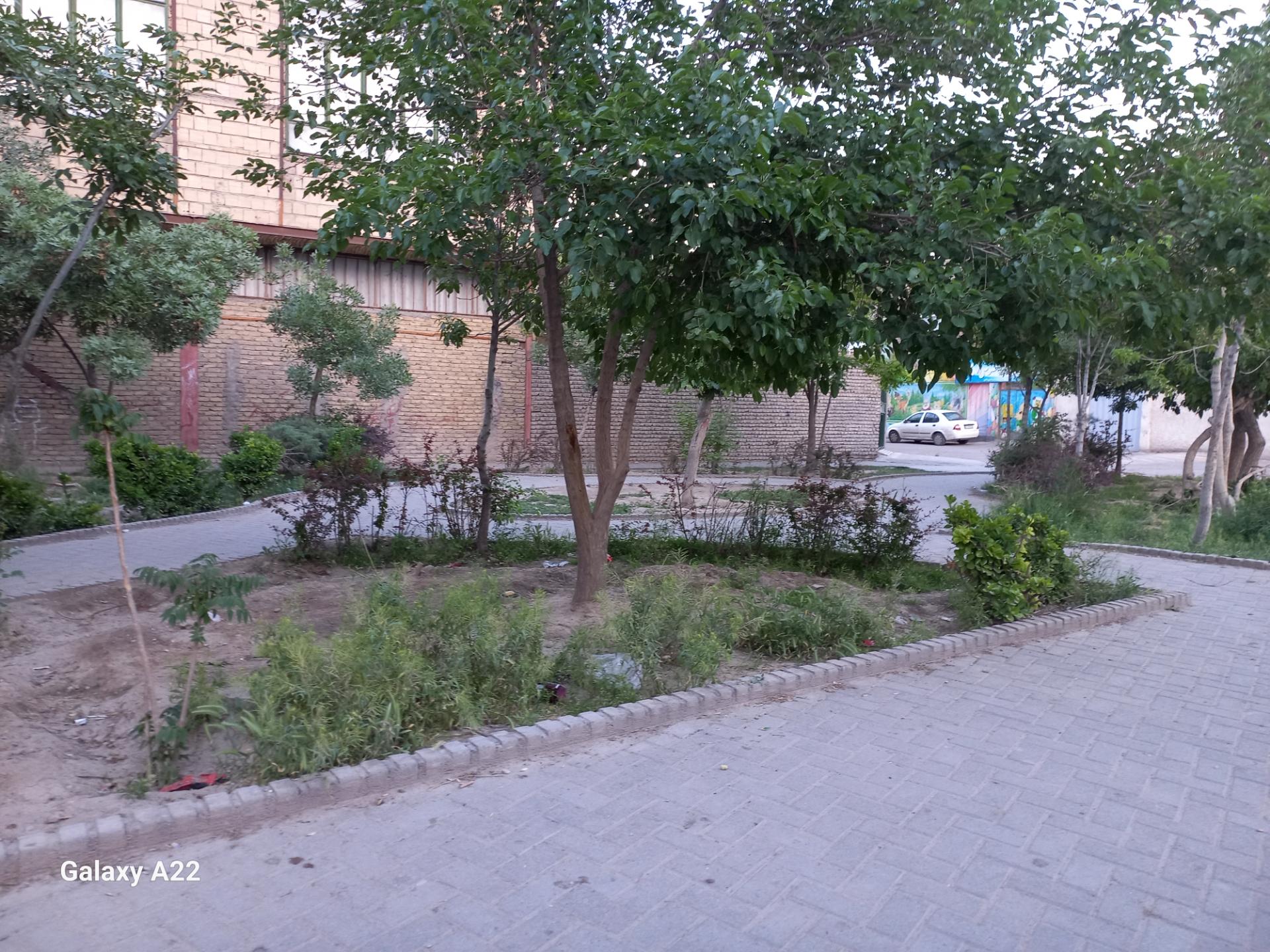 عکس فضای سبز شهید فرزین