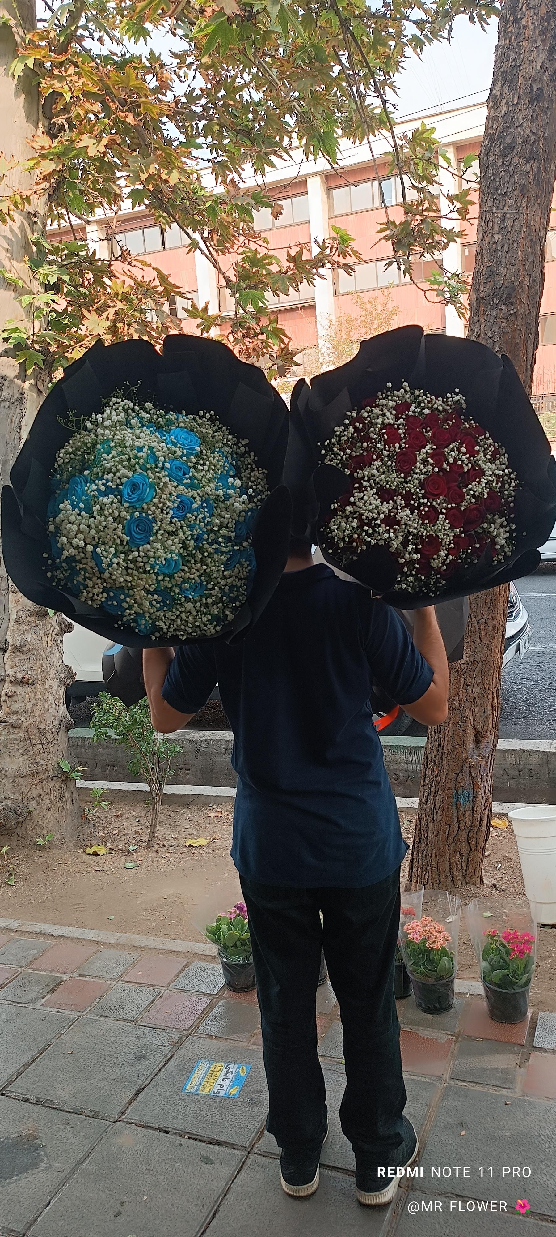 عکس گل فروشی آقای گل شعبه تهرانپارس غربی