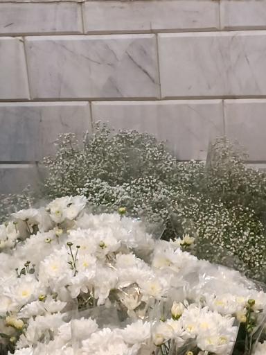 عکس گل فروشی آقای گل