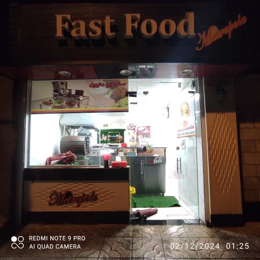 فست فود متروپل