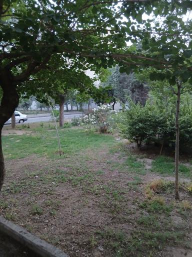 عکس فضای سبز و پارک