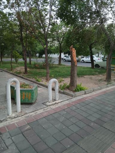 عکس فضای سبز و پارک