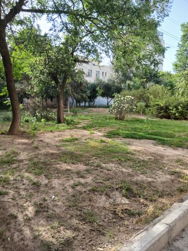 عکس فضای سبز و پارک