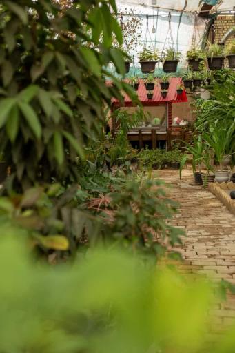 عکس گلخانه دهکده طبیعت