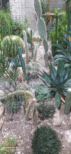 عکس گلخانه دهکده طبیعت