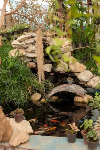 عکس گلخانه دهکده طبیعت