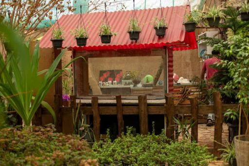 عکس گلخانه دهکده طبیعت