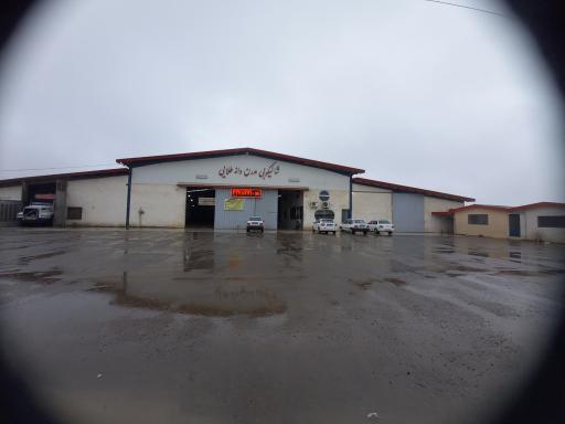 عکس شالیکوبی دانه طلایی